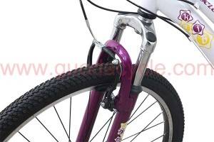 GD-MTB-002： Mountain bike, 21 speed, 26 inches, double disc brakes, SHIMANO, ZLA