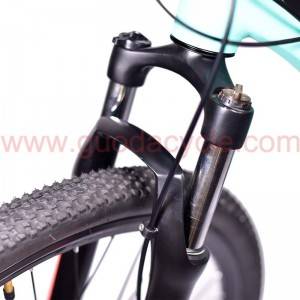 Factory Promotional China Bafang Maxdrive Motor Adult Mountain Electric Bicycle with Full Suspension