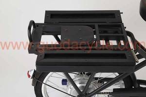 Fixed Competitive Price China Apollo Electric Bike Electric Bicycle Folding Bike 20inch 250W Smart