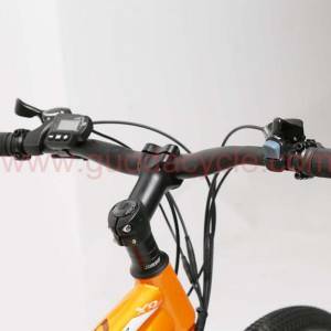Personlized Products China Full Suspension Mountain Fat Tire Electric Trek Bike