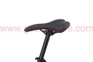 Hot Sale for China 26″ Road City E Bicycle with Magnesium Alloy Wheels