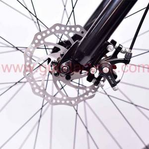 Renewable Design for China 26inch 750W Brushless Motor Ebike Cruiser with CE Approved