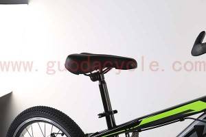 GD-KB-002： 20 inch children bike with disc brake single speed, green bike,boys bike,Contracted design