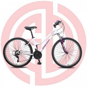 OEM/ODM China Downhill - 21 Speed 26 Inches Mountain Bike With Double Disc Brakes – GUODA