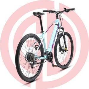 OEM Customized Bike Frame - GD-EMB-009： Electric Mountain Bicycle, 36v, 29 Inch, mechine disc brakes, wattage: 200 – 250w – GUODA