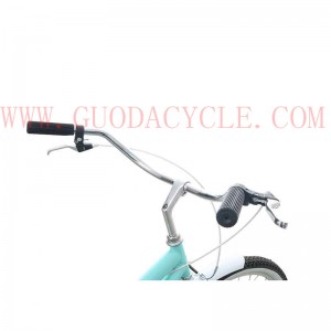 2019 New Style China 700c High Quality Alloy Frame Fixed Gear Bike