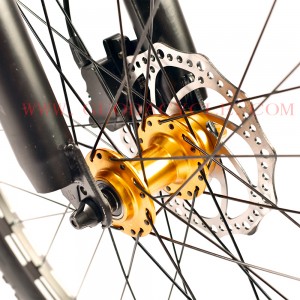 2019 wholesale price China 2021 Fantrider 250W 36V MID Motor Electric Power Mountain Bike/Ebike/Electric Bike/Bike