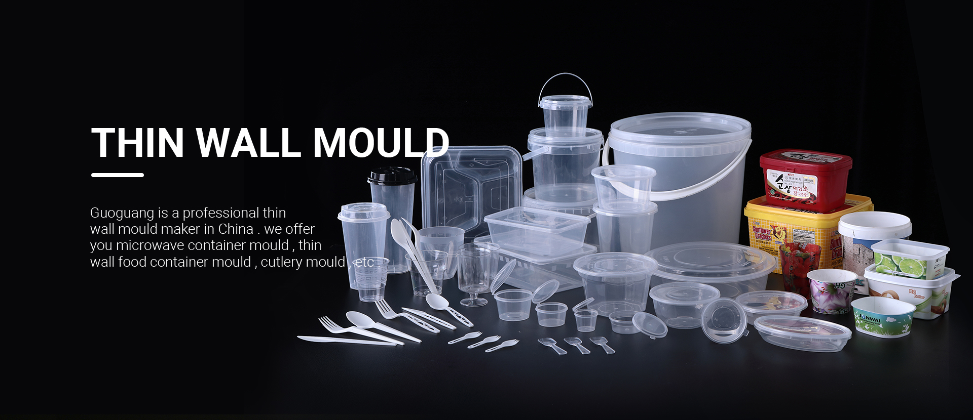 China Customized Thin Wall 2 Cavities Food Container Mould