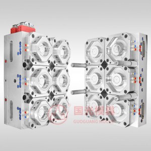 Huangyan Made Household Kitchen Food Storage Box Mould Factory - The Best Food Container Mould Manufacture – Guoguang Mould
