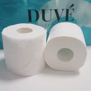 Supply OEM/ODM Standard Roll White Home Use Recycled Toilet Tissue Small Core Toilet Paper