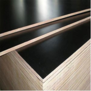 New Architectural Membrane Plywood