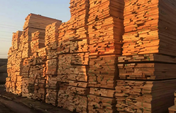 Guangxi Xinghan Wood industry chain extension chain strong chain to create cluster development advantage