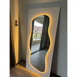 Heteroideus LED Mirror Customized Shape Smart Touch Switch Multifunctional Full Body Dressing Floor Standing Bathroom Wall Mirror