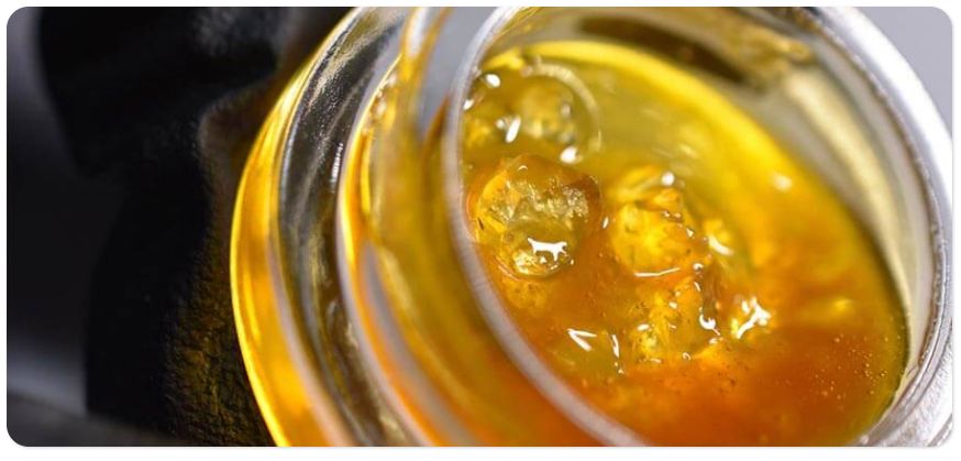 Extraction 101: Live Resin