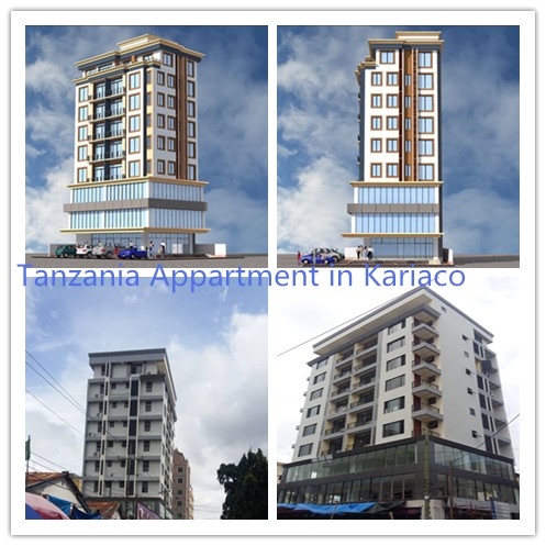 AKO Appartment Tanzania-2012
