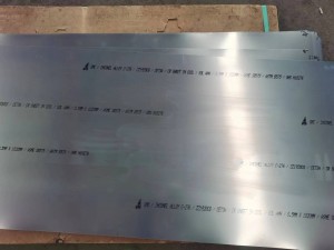 Hasteloy C276/N10276 Nickel Alloy Steel Plate