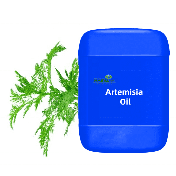 China wholesale Aromatherapy Oil - herb artemisinin/artemisia essential oil annua leaf extract – HaiRui