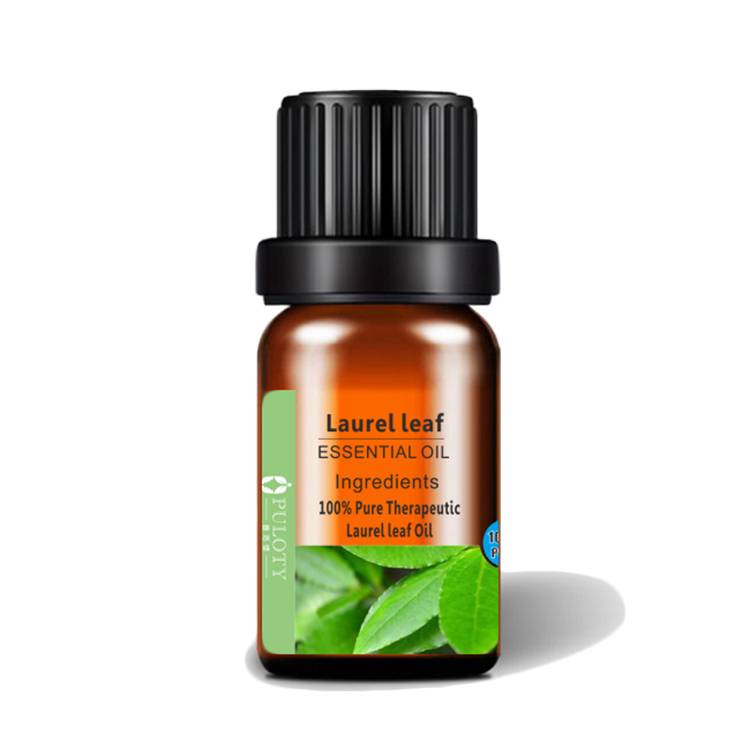 Online Exporter Eucalyptus Leaf Oil - Seasoning Laurel leaf Oil 100% Pure Natural – HaiRui