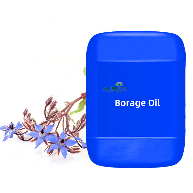 OEM China Tea Tree Essential Oil - good for skin oil refined borage seed oil starflower – HaiRui