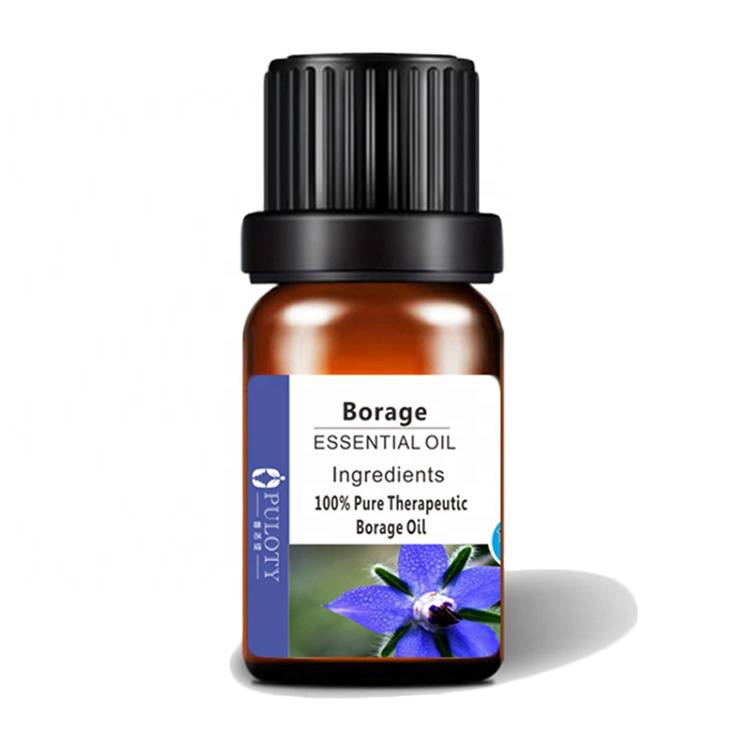 Manufacturer for Safflower Oil Health - refined borage seed oil starflower for skin care – HaiRui