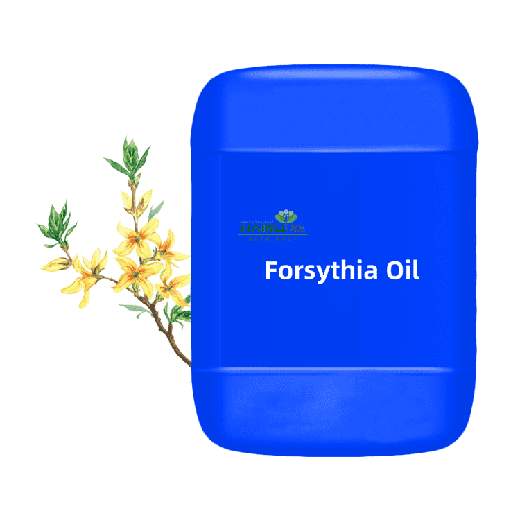 Reasonable price for Patchouli Essential Oil - high quality forsythia Oil essential oil Chinese herb – HaiRui
