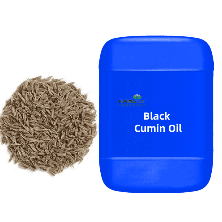 China Cheap price Clove Oil - Black cumin seed oil – HaiRui
