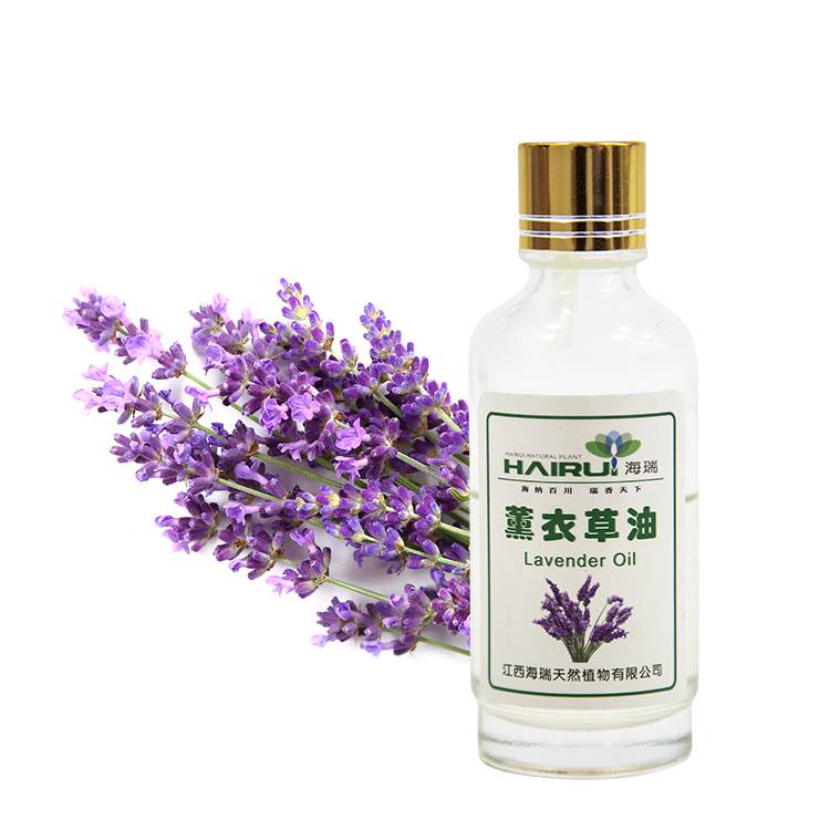 OEM/ODM Supplier Pine Needle Oil - Lavender Essential Oil – HaiRui