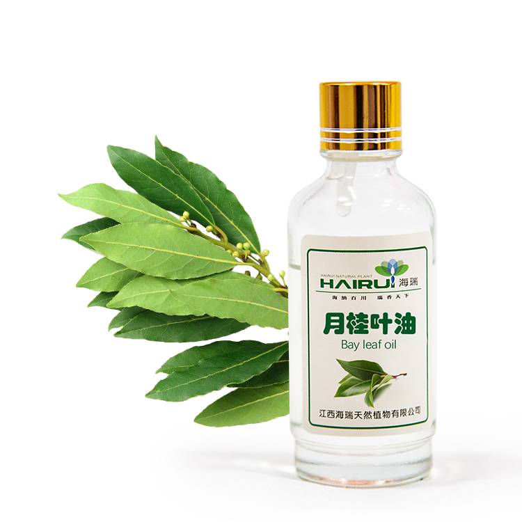 Wholesale Dealers of Natural Wintergreen Oil - China supplier Bay leaf oil extract essential oil – HaiRui