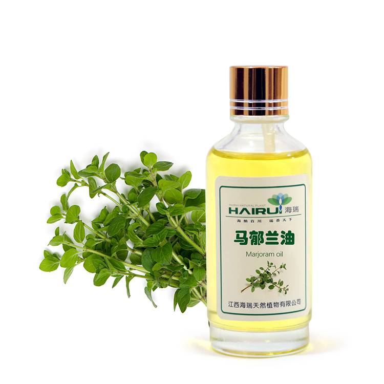Manufacturing Companies for Garlic Oil - high quality Marjoram oil extract essential oil – HaiRui