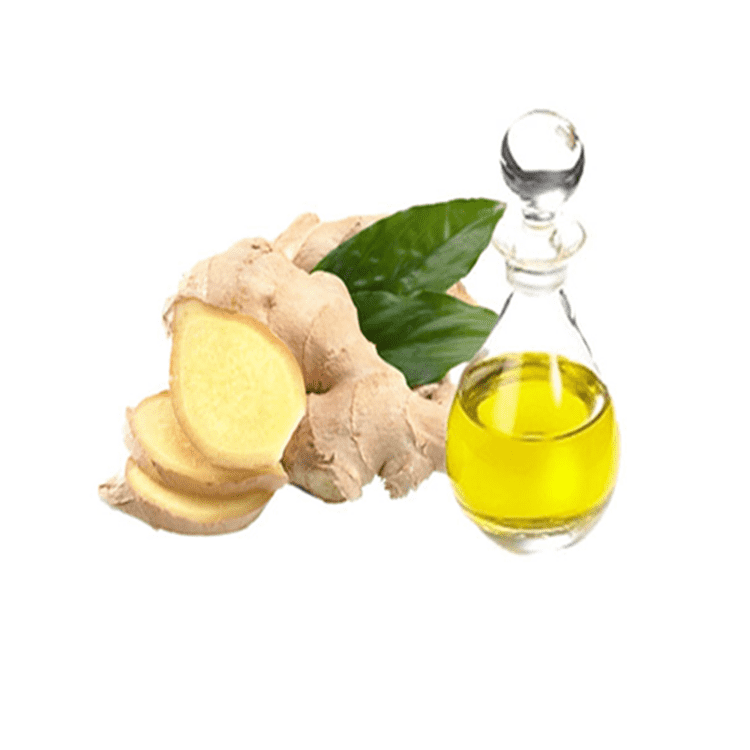 100% pure essential oil natural ginger root oil for massage with best price