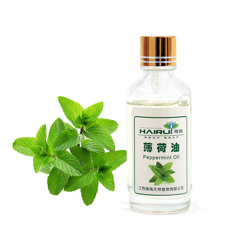 Factory supplied Grapefruit Extract Oil - Pure natural food garde peppermint oil bulk price – HaiRui