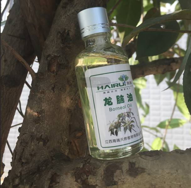 Popular Design for Jasmine Perfume Oil - High quality Natural Borneol/Borneol Flakes – HaiRui