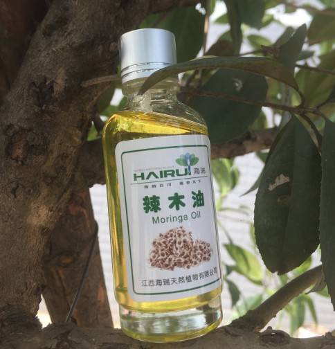 Wholesale Price Rosemary Oil For Hair - 100% Natural Organic Cold Pressed Virgin Moringa seed oil Lowest Price – HaiRui