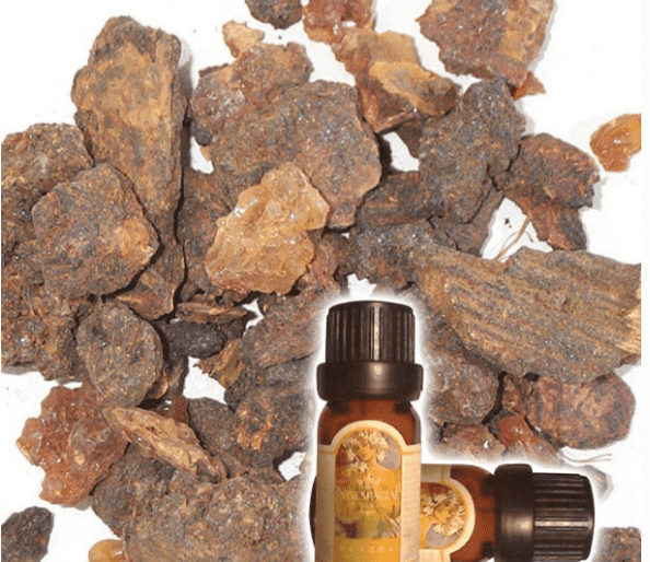 Factory wholesale Roman Chamomile Oil - Top Grade Skin Care 100% Pure Herbal Oil Myrrh oil – HaiRui