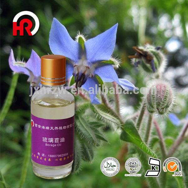 2018 China New Design Citronella Oil - natural borage seed oil Starflower oil – HaiRui
