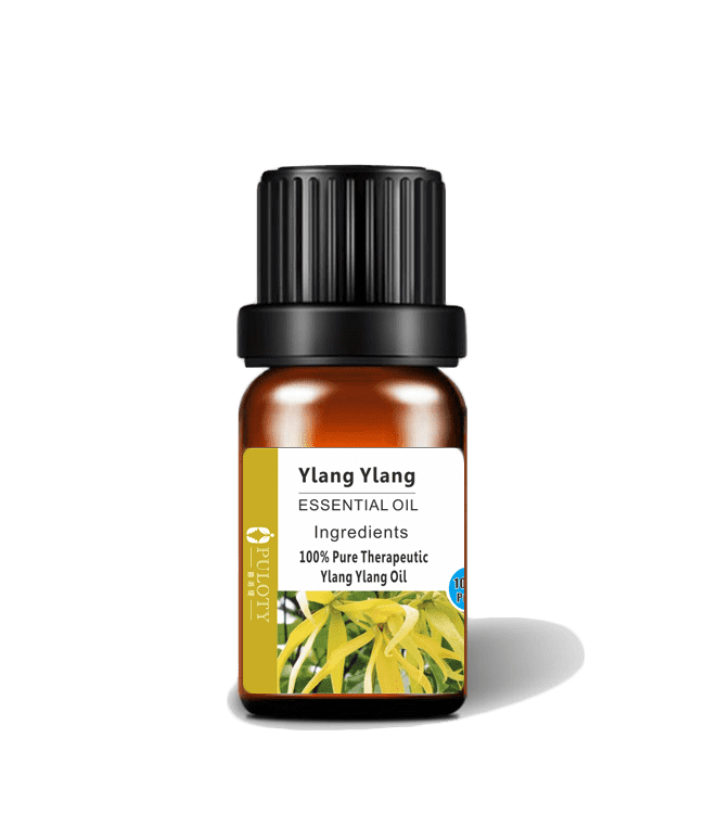 Super Lowest Price Himalayan Cedarwood Oil - Hairui factory massage pure ylang-ylang essential oil with bulk price – HaiRui