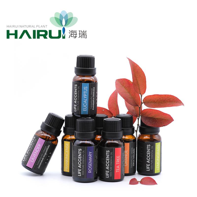 Factory best selling Citrus Massage Oil - pure Ficus microcarpa extract powder – HaiRui