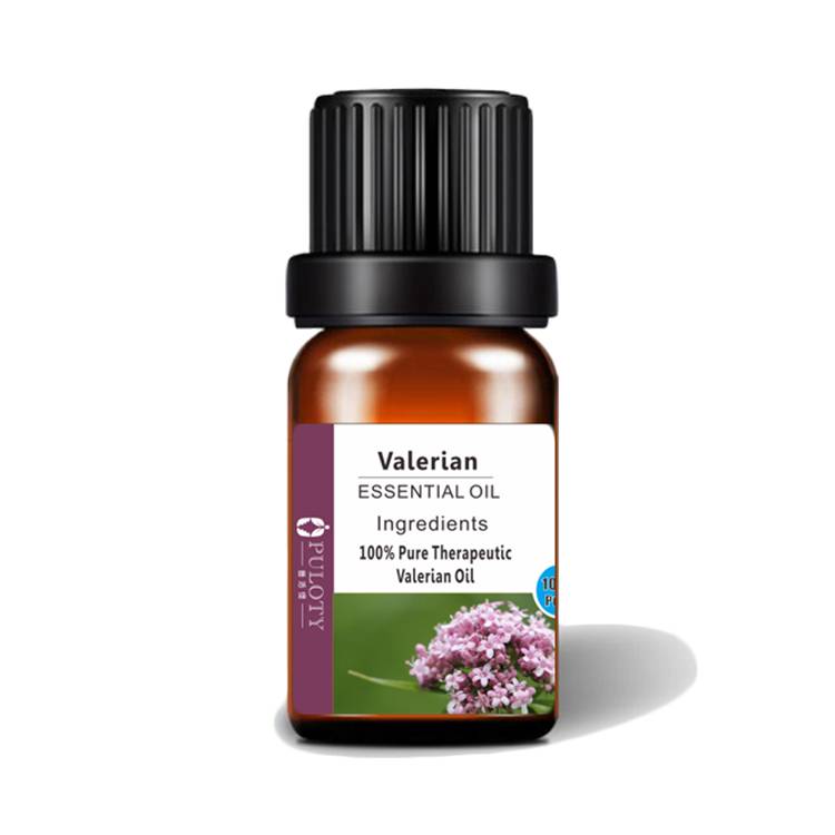 Discountable price Edible Lavender Oil - Organic pure oil kesso root oil valerian oil in bulk – HaiRui