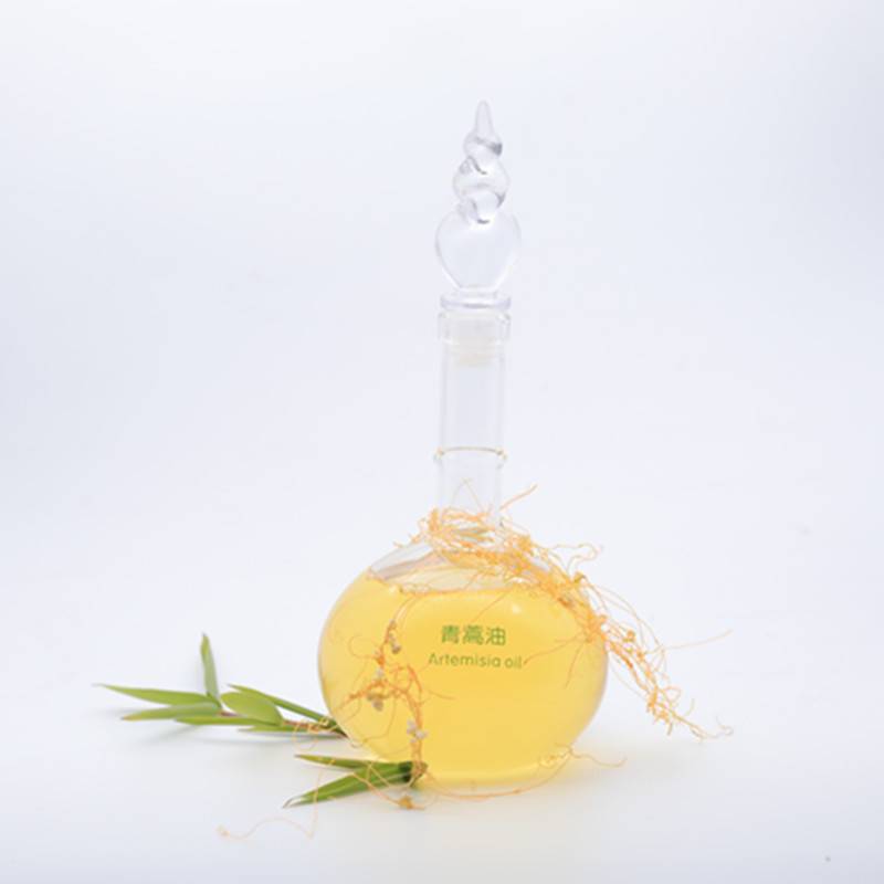 Ordinary Discount Pure Lavender Oil - High Quality artemisia essential oil – HaiRui