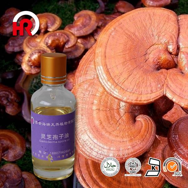 Factory Free sample Ginger Oil - 100% Pure Natural Reishi spore Oil, Ganoderma Lucidum Spores Oil – HaiRui