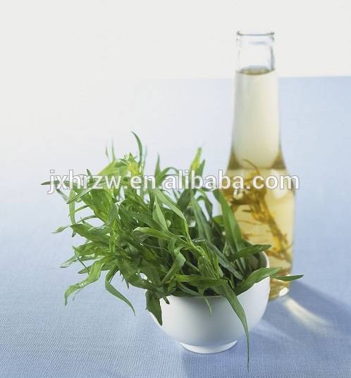 Fixed Competitive Price Clove Leaf Oil - Single Herbs&Spices Product Type and Drying Process Tarragon Leaves oil – HaiRui