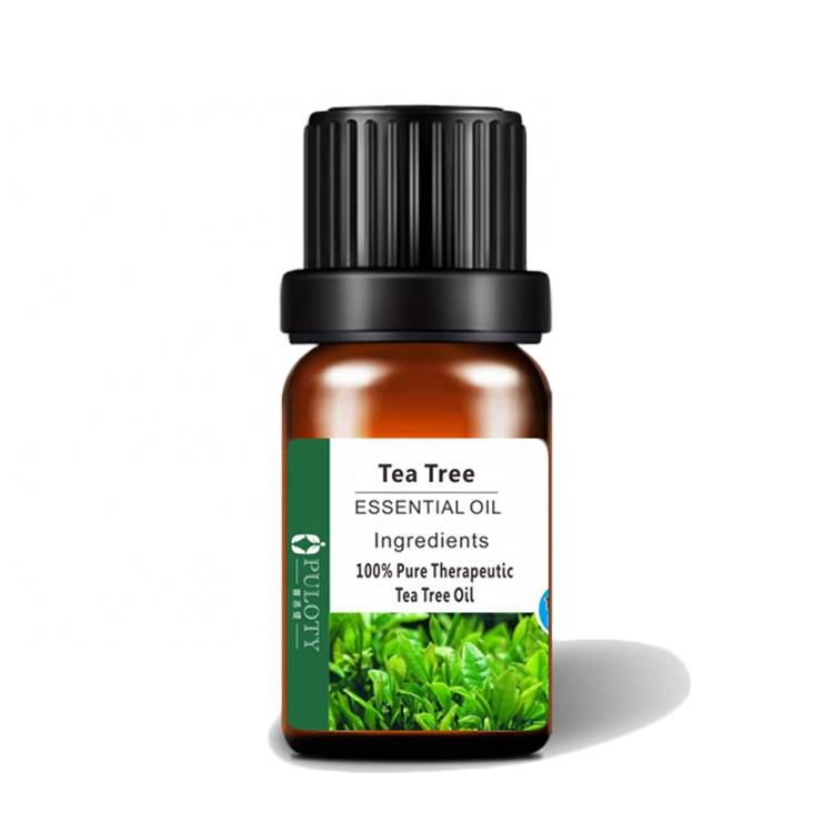 Hot Selling for Mustard Oil - Manufacture essential oils tea tree oil vagina leaves – HaiRui