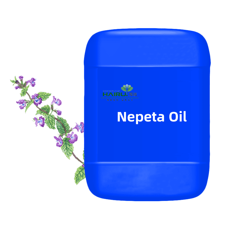 Good Quality Patchouli Oil For Skin - high quality Nepeta Oil essential oil for medicine – HaiRui