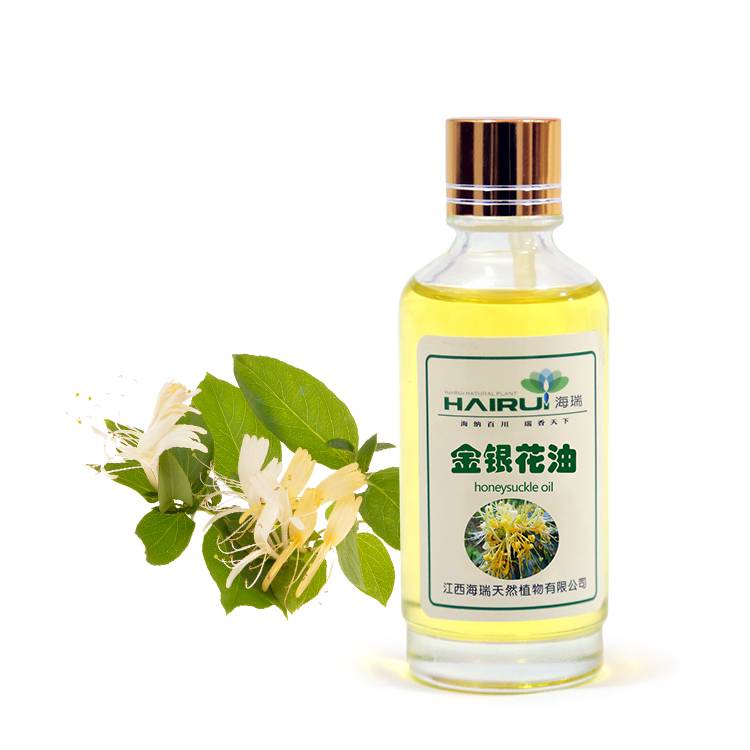 supplier herb honeysuckle oil extract essential oil for body care