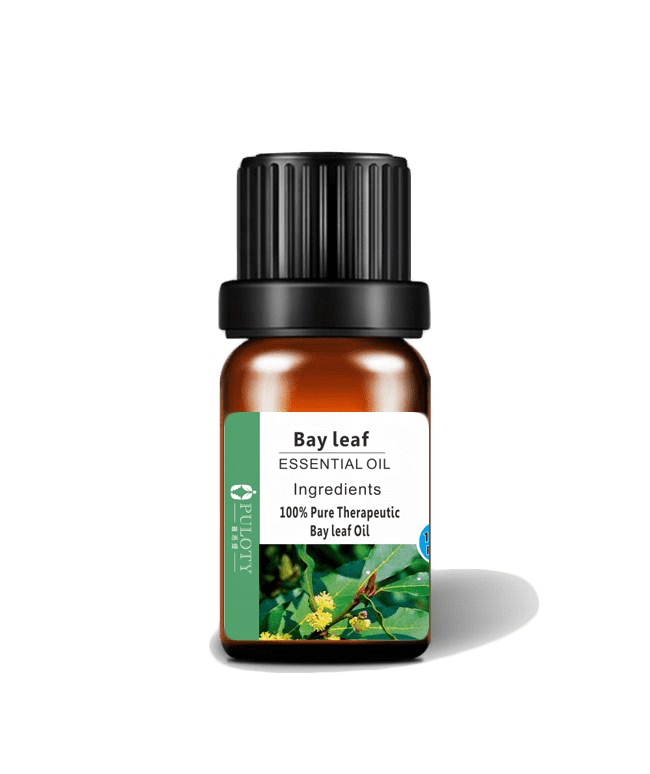 OEM/ODM Factory Blumea Oil - Improve sleep/High quality /100% pure Laurel Leaf Essential Oil – HaiRui
