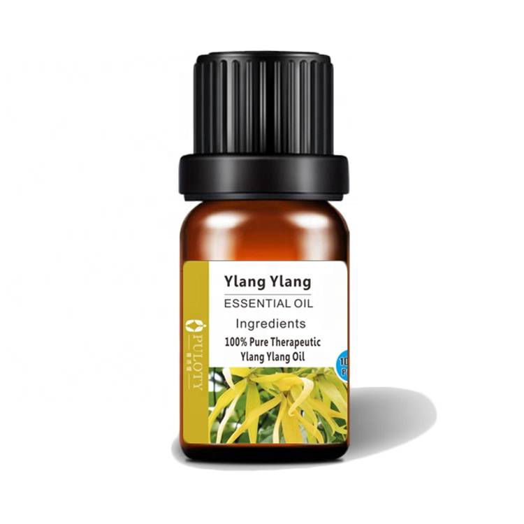Hot New Products Eugenol - Natural pure Ylang ylang oil essential oil plant – HaiRui