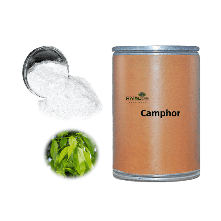 OEM Customized Pure Ginger Oil - High quality Natural plant Camphor powder used for medicine – HaiRui