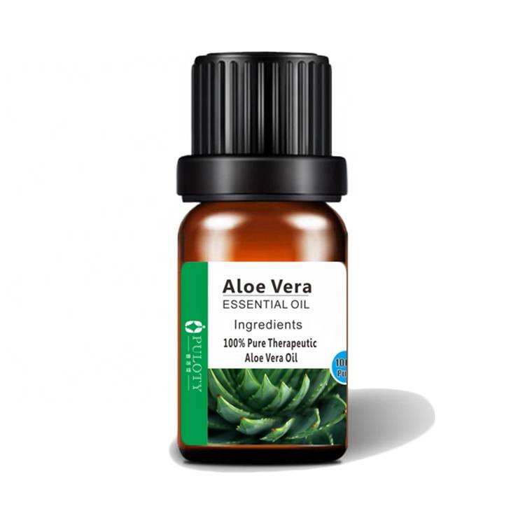 Cheap price Thyme Oil - Pure Aloe Vera Essential Oil For Body Care – HaiRui