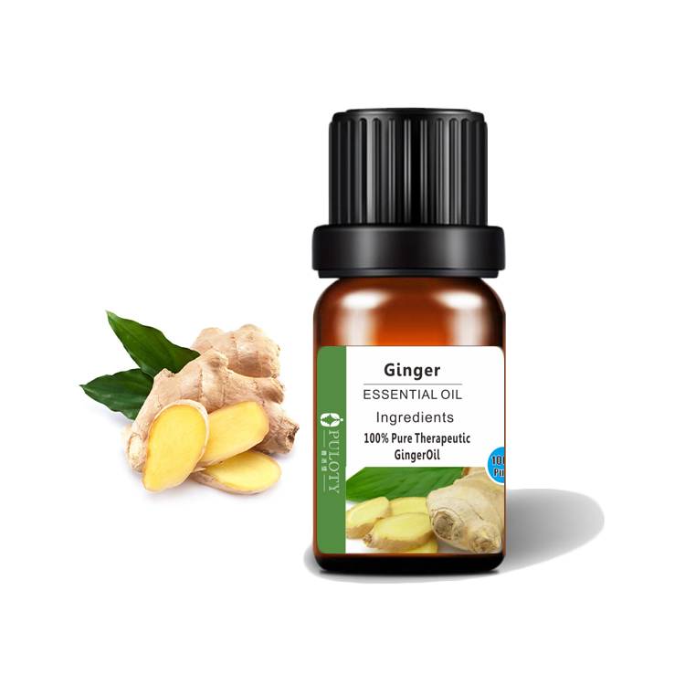 extract Ginger Oil for medicine food spice