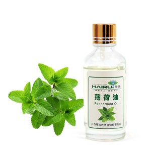 OEM Customized China Bulk Manufacturer Wholesale Natural Pure Essential Oil Mint Oil Price